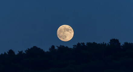 A majestic full moon illuminates the dark blue night sky above a silhouetted treeline, creating a serene, nocturnal landscape.