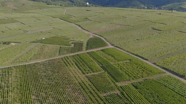 Hunawihr, France - Aerial view of Alsacian village and vineyards and sunrise