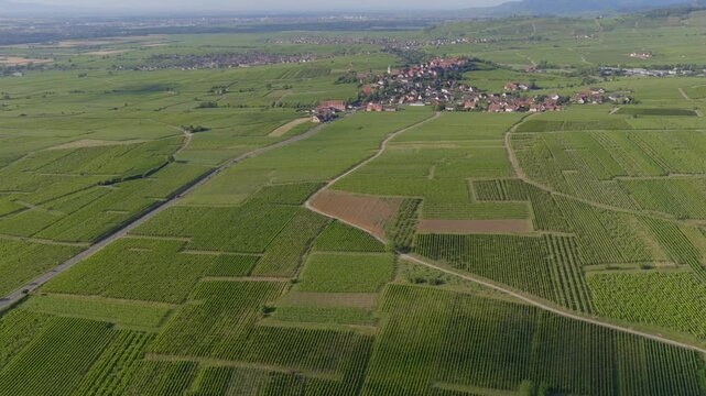 Hunawihr, France - Aerial view of Alsacian village and vineyards and sunrise