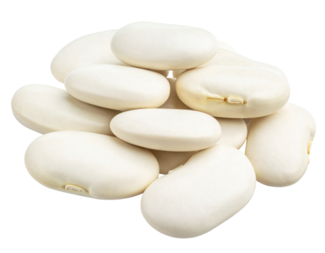 Nutritious Lima Bean Seeds for Planting or Cooking Transparent PNG