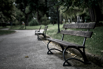 bench in the park