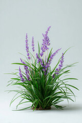 Grass and blooms gives off peaceful vibe in decorative display