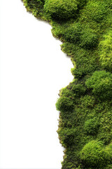Soft moss mat brings natural, organic beauty to edge with isolation
