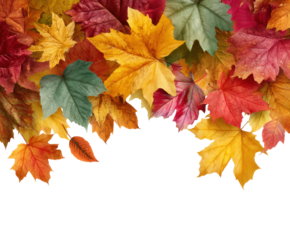 Vibrant autumn leaves falling nature scene colorful