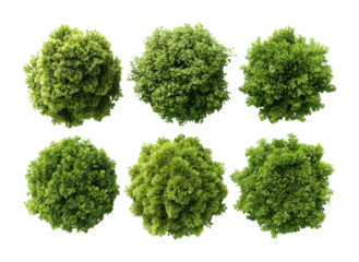 Lush green bushes nature reserve botanical aerial view