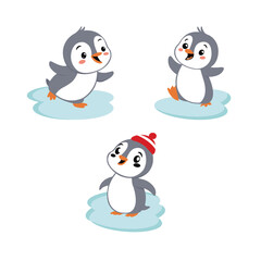 set baby penguins vector,llustration