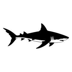 Detailed Black and White Vector Illustration of a Great White Shark