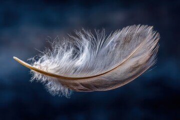 Obraz premium A white feather floating in the air on a blue background