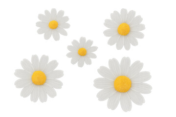 White daisies suspending delicately, yellow centers glowing against transparent backdrop, conveying soft botanical elegance and tranquil mood