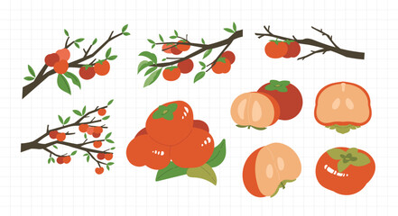 감 일러스트 모음