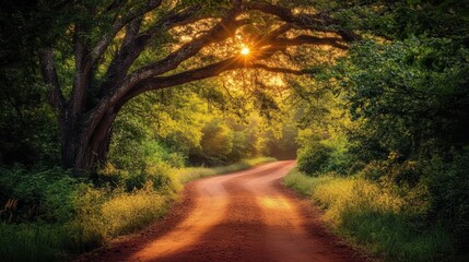 Obraz premium Serene Sunset Glow on Winding Country Road Surrounded by Trees