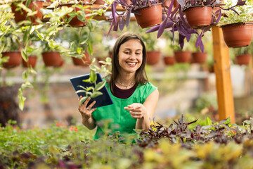 Florist Using Tablet