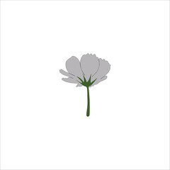 Flower  with sky color 