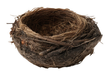 Obraz premium Bird nest creation nature wildlife