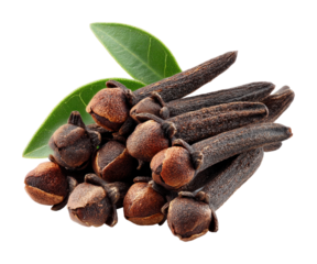 Harvesting cloves spice market food tropical