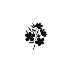 Flower with silhouette  