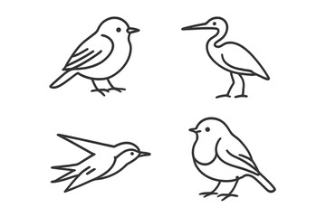 Fototapeta premium Various bird illustrations showcasing different species in a simple line art style