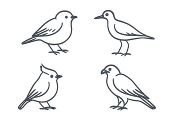 Obraz premium Illustration of four different bird species in simple line art style, showcasing distinct features and postures