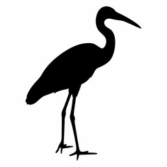 Obraz premium Silhouette of heron bird standing isolated on white background, elegant wading bird vector illustration 