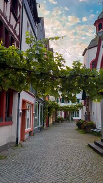 Wine region in the Mosel Valley, Bernkastel-Kues, Germany, July 23, 2024. High quality 4k footage