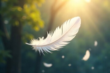 Delicate white feathers drift gently downwards, illuminated by soft sunlight, creating a serene and ethereal scene Perfect for concepts of lightness, fragility, and the passage of time , serene, slow