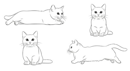 Munchkin cat in different poses, outlined sketches for design concepts  