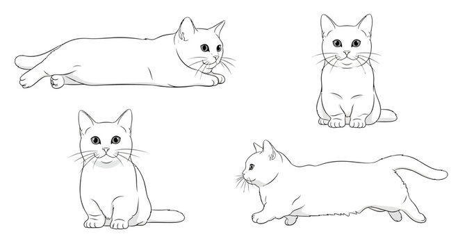 Munchkin cat in different poses, outlined sketches for design concepts  