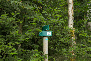 Vidden trail in Bergen Norway rocky grass landscape, 노르웨이 베르겐 비든 트레일 바위와 초원 풍경
