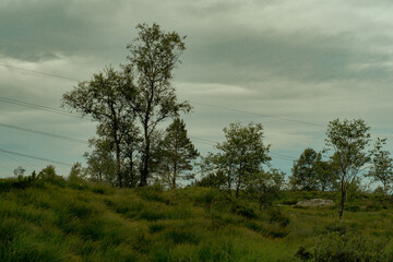 Vidden trail in Bergen Norway rocky grass landscape, 노르웨이 베르겐 비든 트레일 바위와 초원 풍경