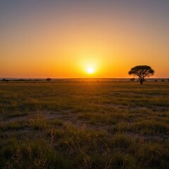 Solitary Tree Silhouetted Against Vibrant Sunset Over Expansive Field