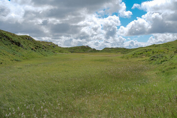 Fototapeta premium ChatGPT의 말: Vidden trail in Bergen Norway rocky grass landscape, 노르웨이 베르겐 비든 트레일 바위와 초원 풍경