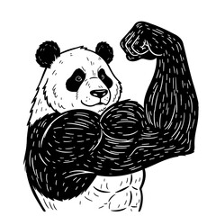 strong panda showing huge strong muscular arm sketch