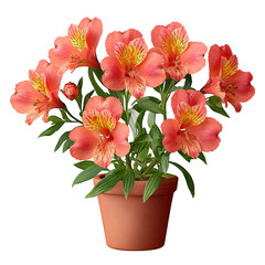 Bright Alstroemeria Flowers in a Clay Pot Creating a Vibrant Indoor Botanical Display for Home Decor