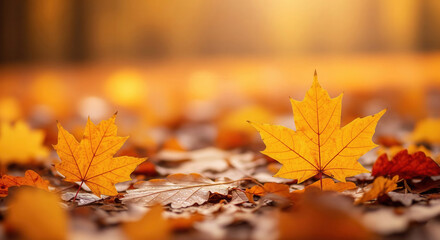 Golden autumn leaves on the ground create a beautiful seasonal scene with vibrant colors and soft bokeh, perfect for fall themes.