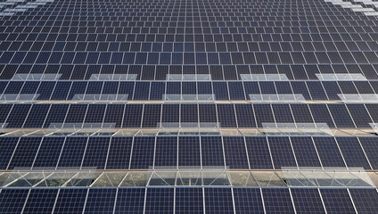 Greenhouse for growing vegetables with mounted photovoltaic solar panels on the roof, combining...