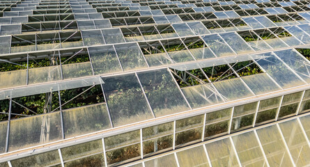 Greenhouse for growing vegetables with mounted photovoltaic solar panels on the roof, combining...