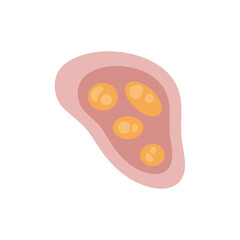 Human intestinal coccidia parasites vector illustration 