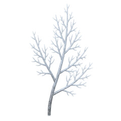 Fototapeta premium Bare Tree Branch Isolated on White