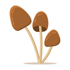 Autumn mushrooms. Mushroom with brown cap