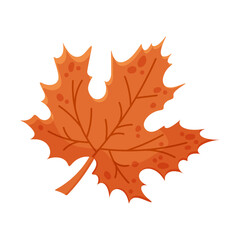 Autumn leaves. Isolated vector leaf icon on white background.