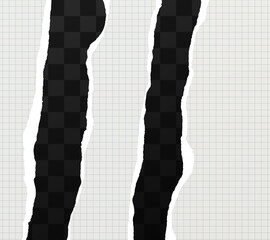 Vector elements for design and scrapbooking. Realistic sheets of torn paper with checkered texture. Notepad sheets in a cage on a transparent background.Trendy background for websites.