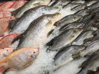 Fresh Fish on Ice at a Seafood Market Stall