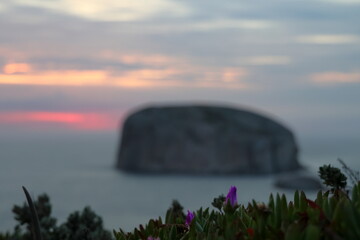 australian coast