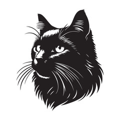 black cat vector illustration