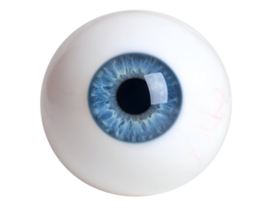 The captivating blue iris of a human eye is showcased in stunning detail, highlighting its unique patterns.