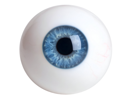 The captivating blue iris of a human eye is showcased in stunning detail, highlighting its unique patterns.