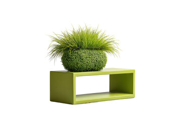 PNG Modern green plant in contemporary rectangular planter on black background