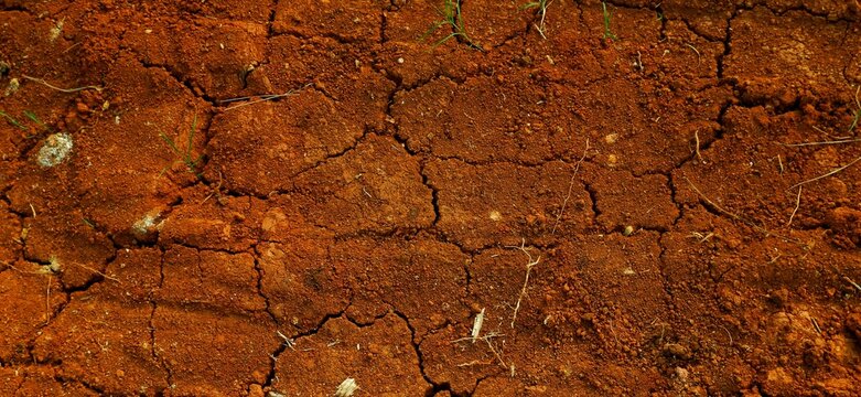 Long background, A close-up view of cracked red earth, symbolizing drought, dryness, and natural texture variations highlighting climate and environmental conditions.