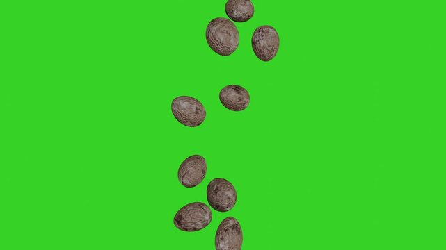 white nutmeg falling isolated green screen