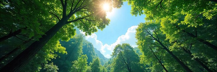 Obraz premium Vast, sun-dappled forest canopy stretches to a brilliant blue sky, sunlight filtering through leaves A breathtaking view of nature's majesty , panoramic, serene, bird's eye view